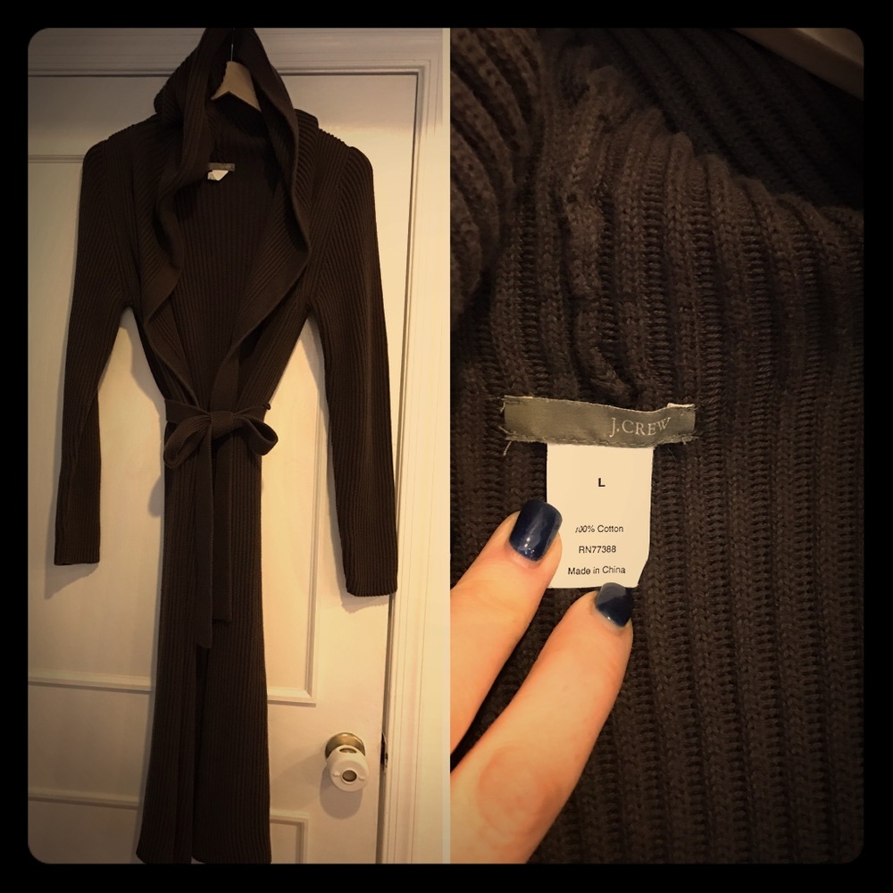 JCrew Hooded sweater
