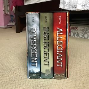 The Divergent Series