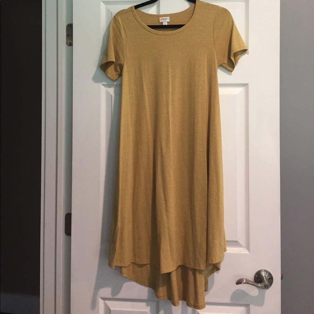 NWOT Lularoe Carly!