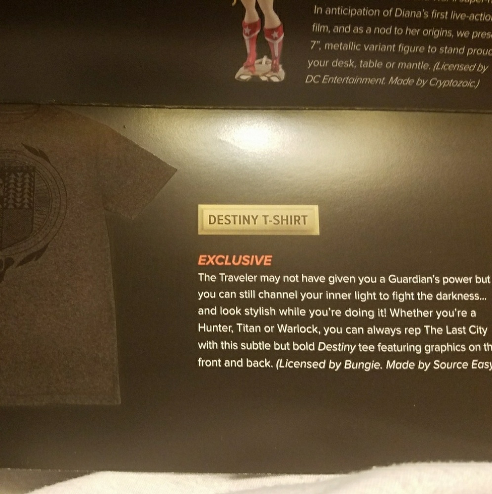Destiny T-shirt with pin included