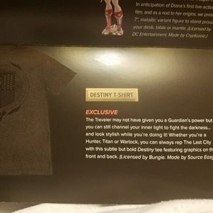 Destiny T-shirt with pin included