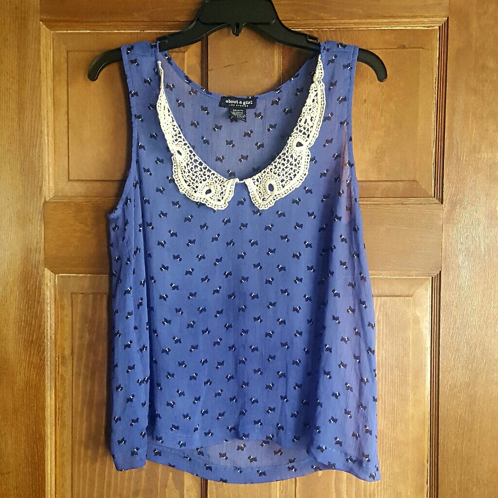 Super Cute Sheer Top (Juniors L)