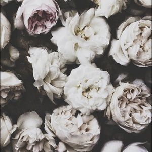 Meet your Posher, Rushda