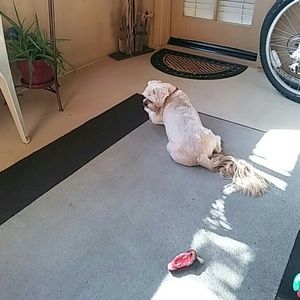 Meet your Posher, Jodi