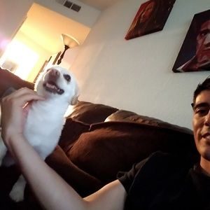 Meet your Posher, Gabriel