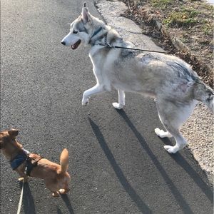 Meet your Posher, Julianna