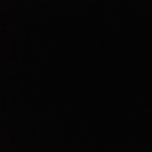 Meet your Posher, Chayla