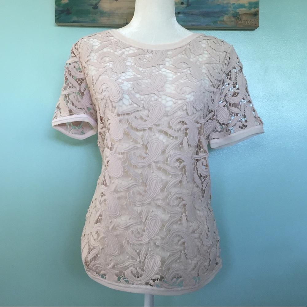 Loft Blush Paisley Lace Top - M