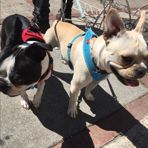 Meet your Posher, Sandee - Picture 2 of 8