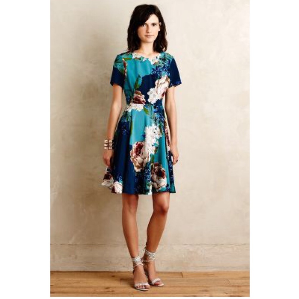 ANTHROPOLOGIE Paeonia Dress Size 6