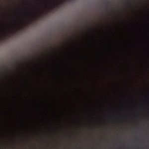 Meet your Posher, Gracie