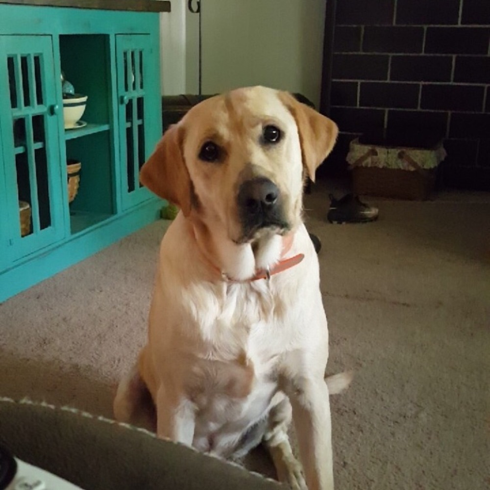 Meet your Posher, Kim