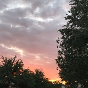 Meet your Posher, Tori