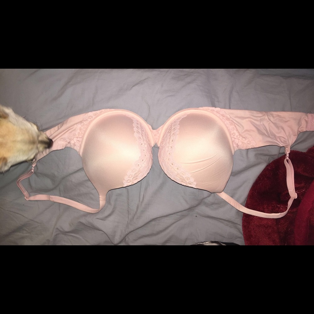 Brand new Victoria's Secret Bras!