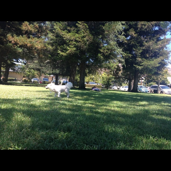 Meet your Posher, Alice - Picture 1 of 1