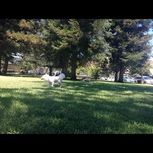 Meet your Posher, Alice