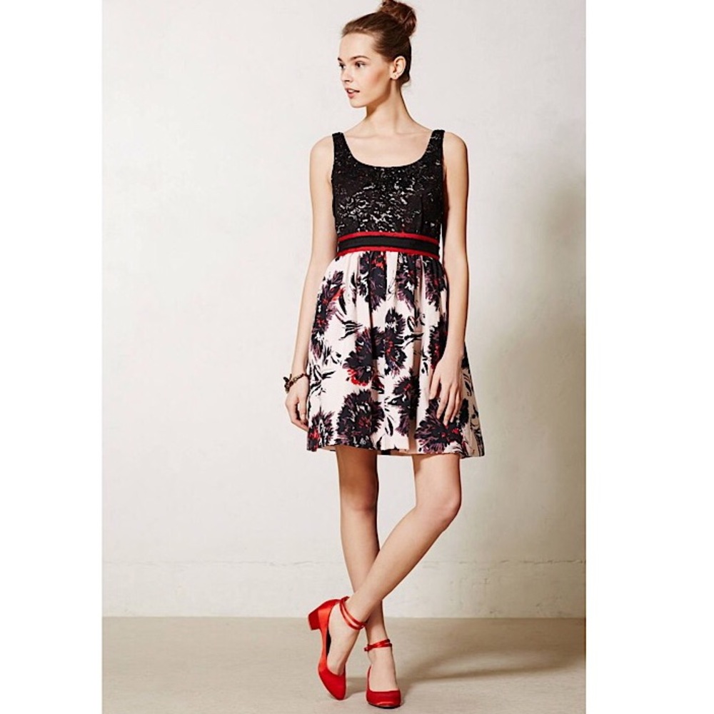 ANTHROPOLOGIE Brushstroke Blossoms Dress Size 6
