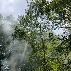 Meet your Posher, Savannah