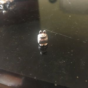 Pandora charm