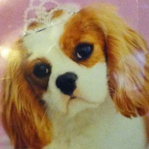 Meet your Posher, Skyler