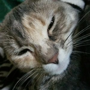 Meet your Posher, Shannon