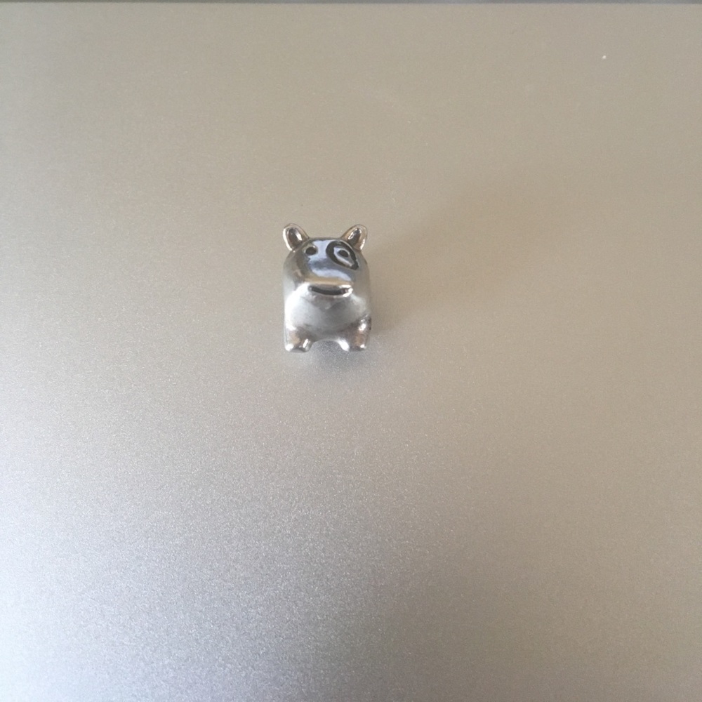 Pandora charm