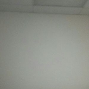 Meet your Posher, Alba