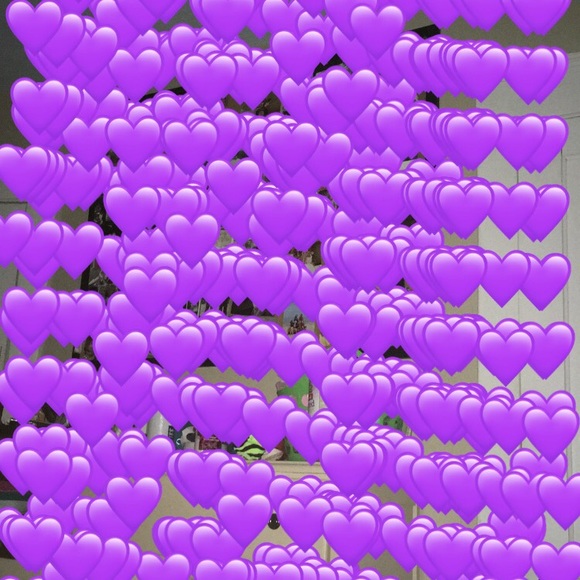 Meet your Posher, Baleigh - Picture 1 of 1