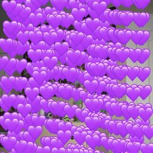 Meet your Posher, Baleigh