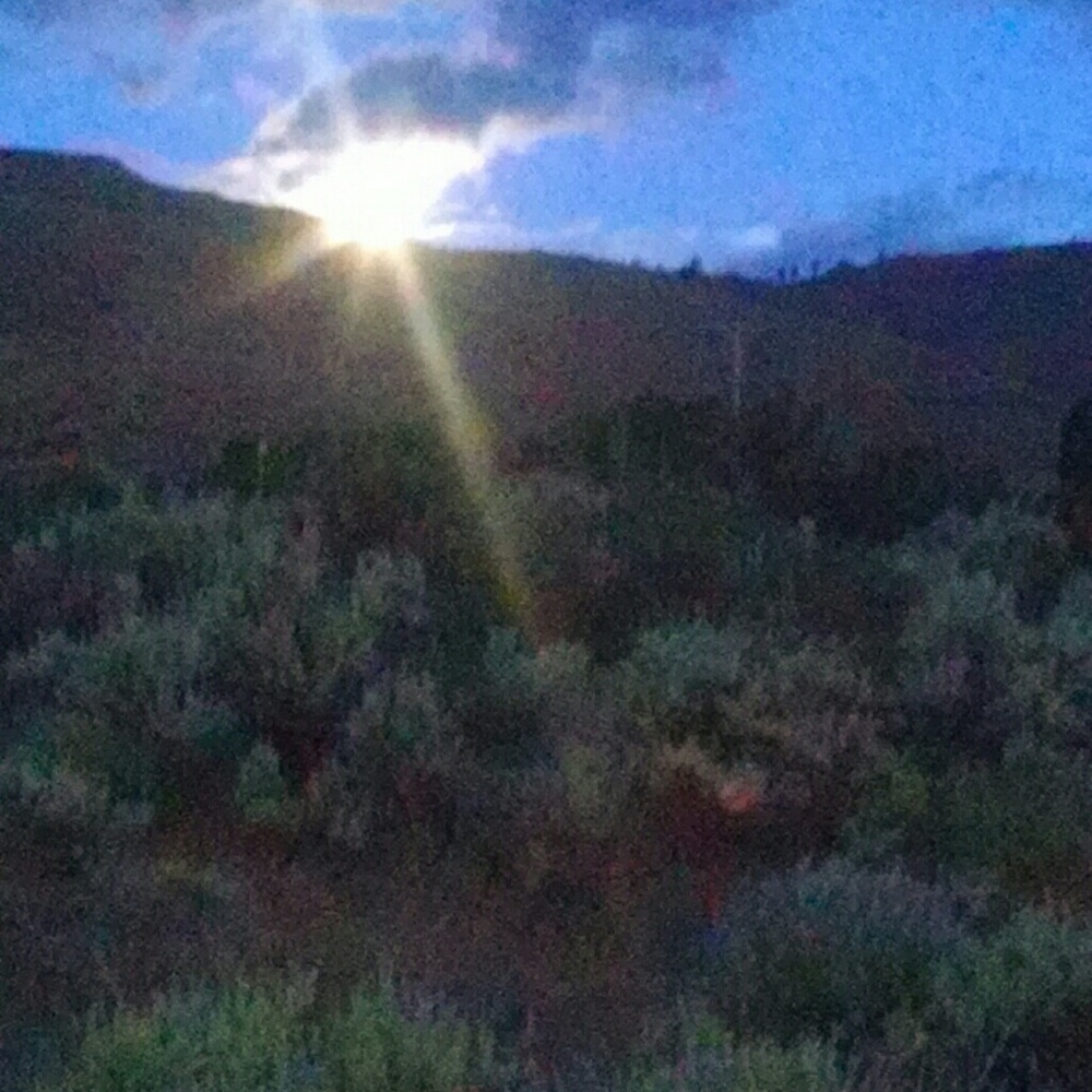 Meet your Posher, Kelle