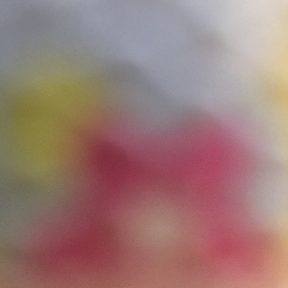 Meet your Posher, J e s sie