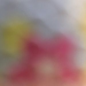 Meet your Posher, J e s sie