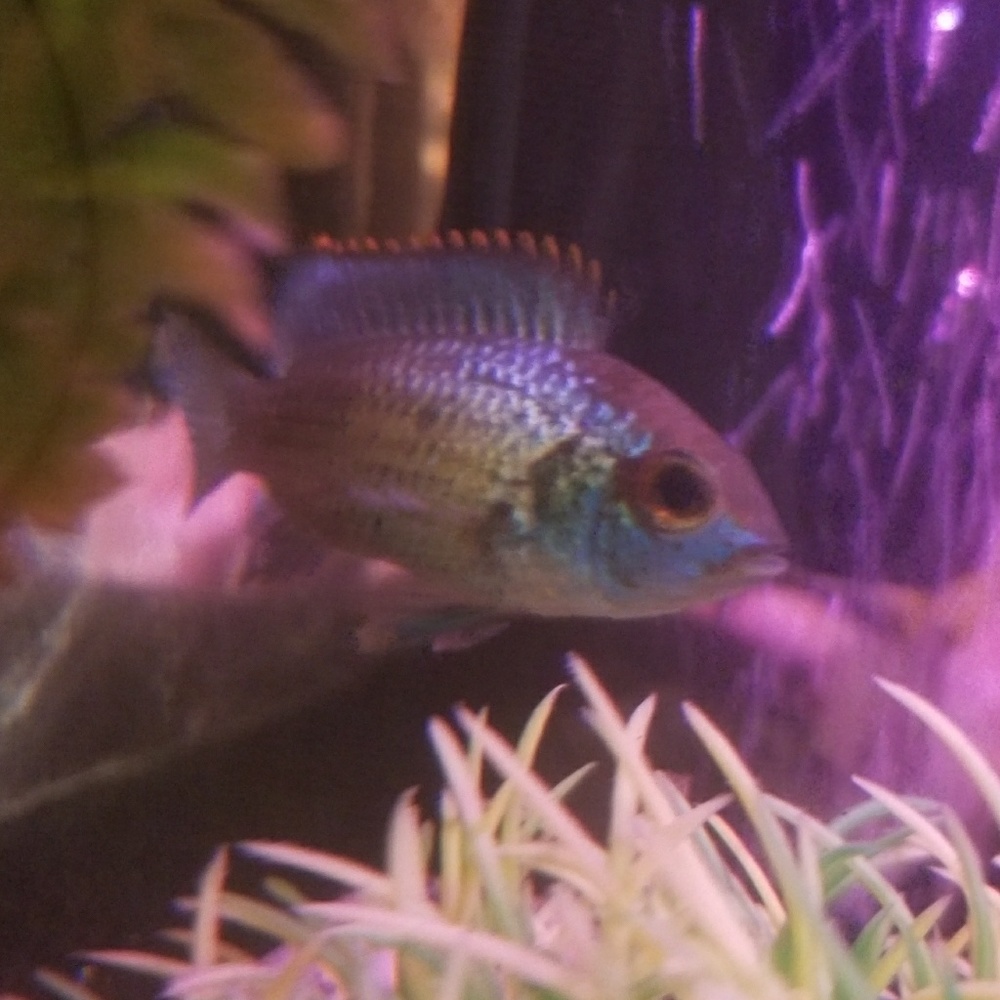 Meet your Posher, Jessy