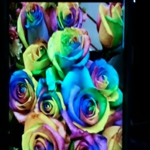 Meet your Posher, Rochelle