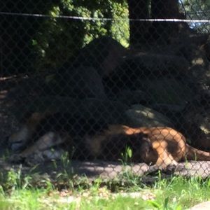 Meet your Posher, Armondo