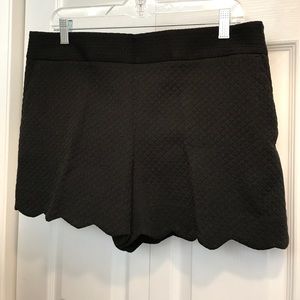 Ann Taylor LOFT Black Scallop Hem Shorts (10) NEW