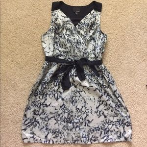 100% Silk Greylin Dress