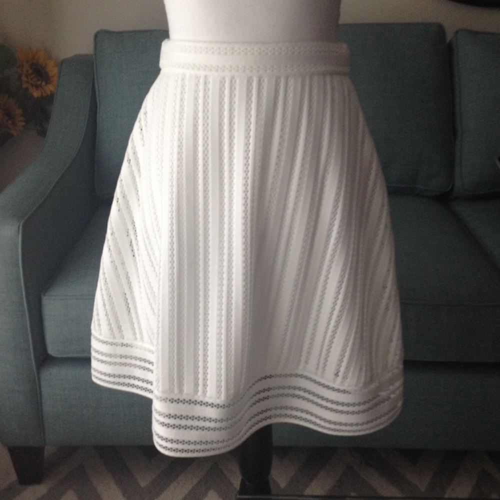 J. Crew Eyelet Skirt