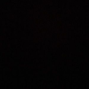 Meet your Posher, Donald