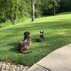 Meet your Posher, Kenna