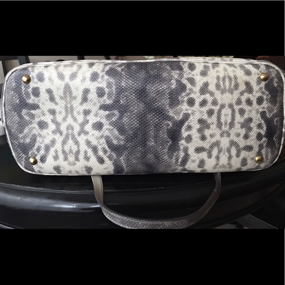 Gucci - Limited Edition Python - Picture 2 of 7