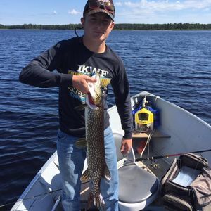 Meet your Posher, Tommy