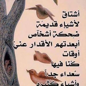 Meet your Posher, Mohamed