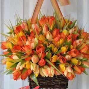 Meet your Posher, Jackie