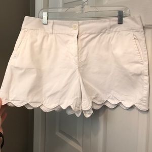 Ann Taylor LOFT White Scallop Hem Shorts (Size 12)