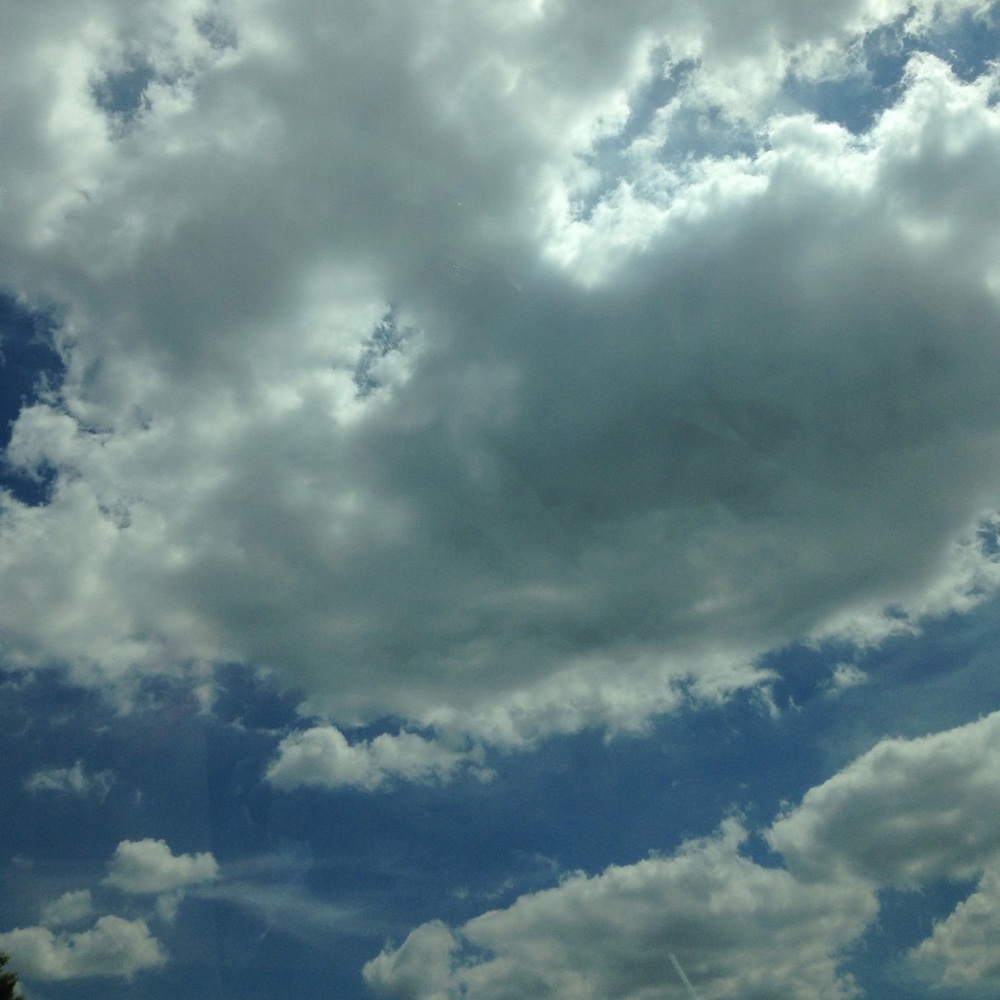 Meet your Posher, Vonnetta