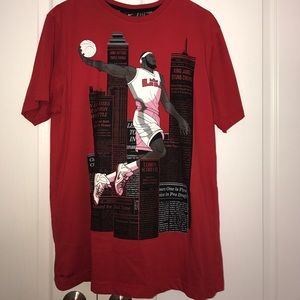 Men's Lebron James Nike Dri-Fit T-shirt