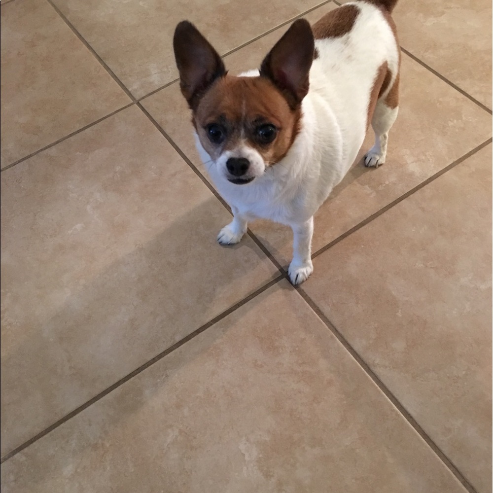Meet your Posher, Sandy