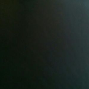 Meet your Posher, Quantesha