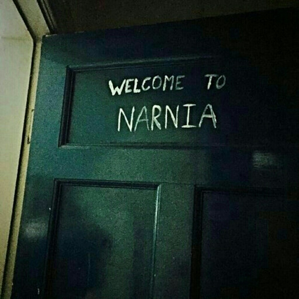 Meet your Posher, Shannon